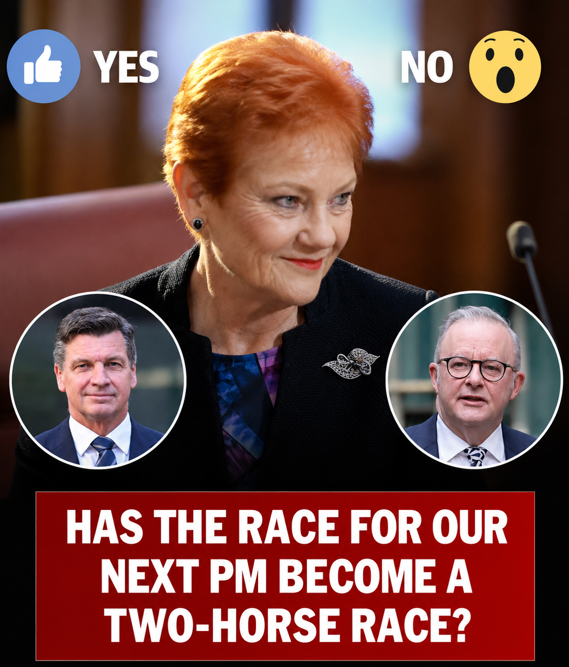 Recent Australian political polling
