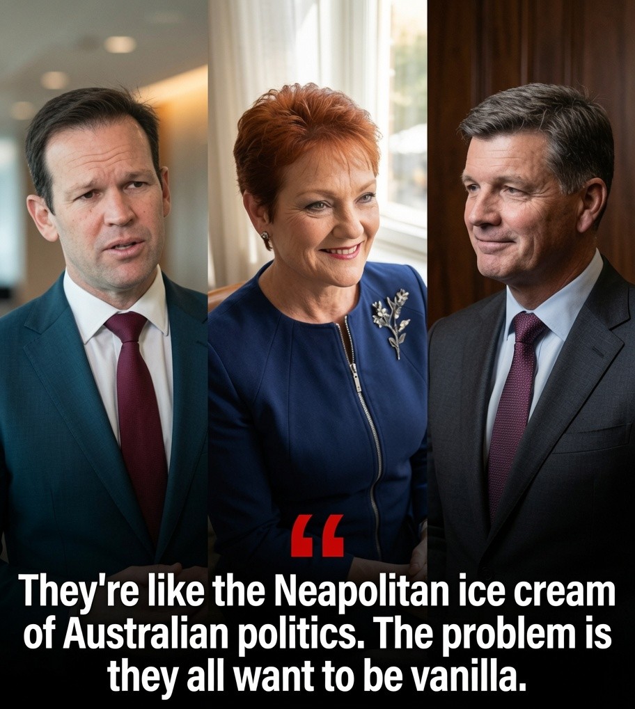 Education Minister Jason Clare comments on Pauline Hanson's monoculture proposal and multiculturalism debate