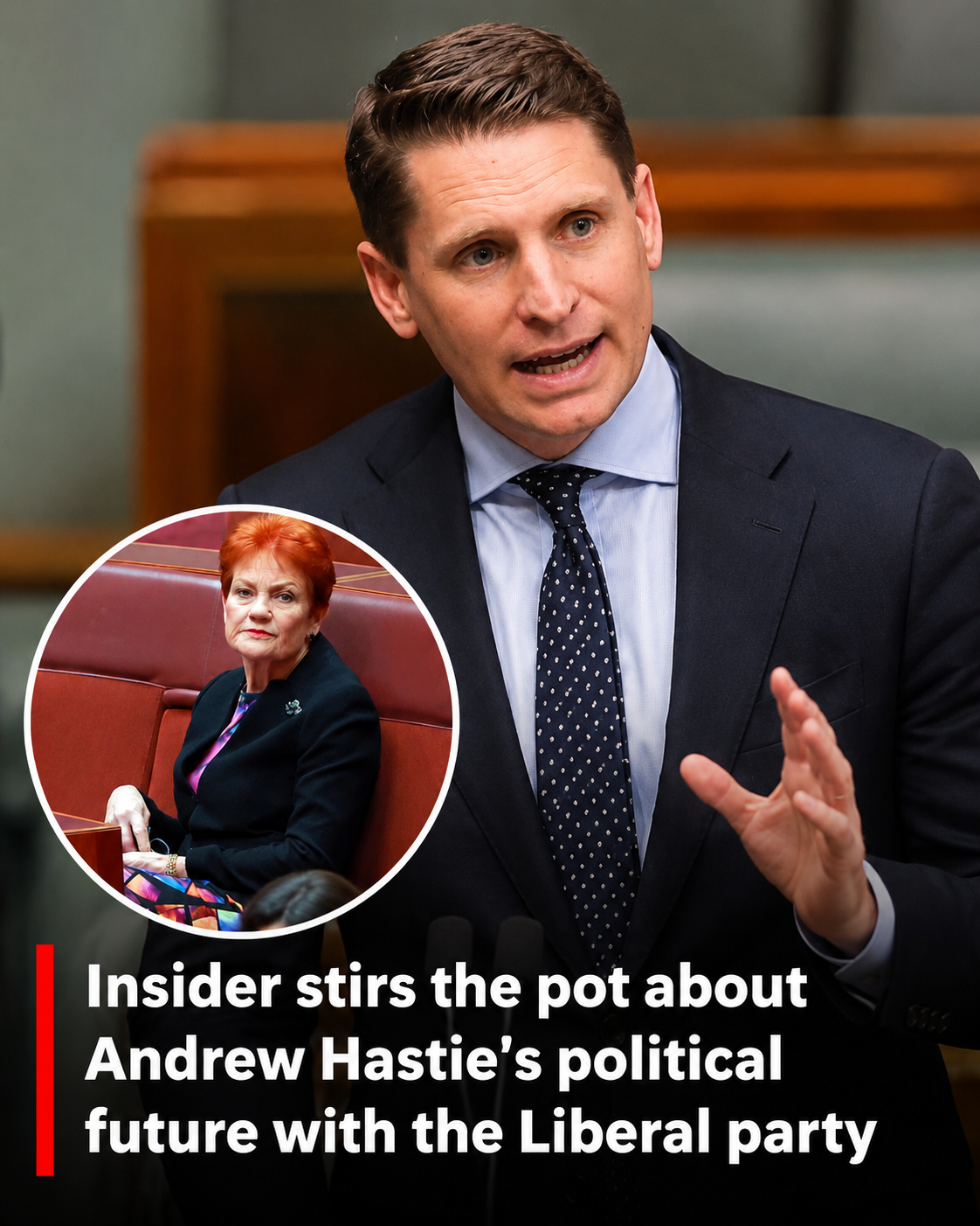 Political discussion involving Andrew Hastie and Pauline Hanson