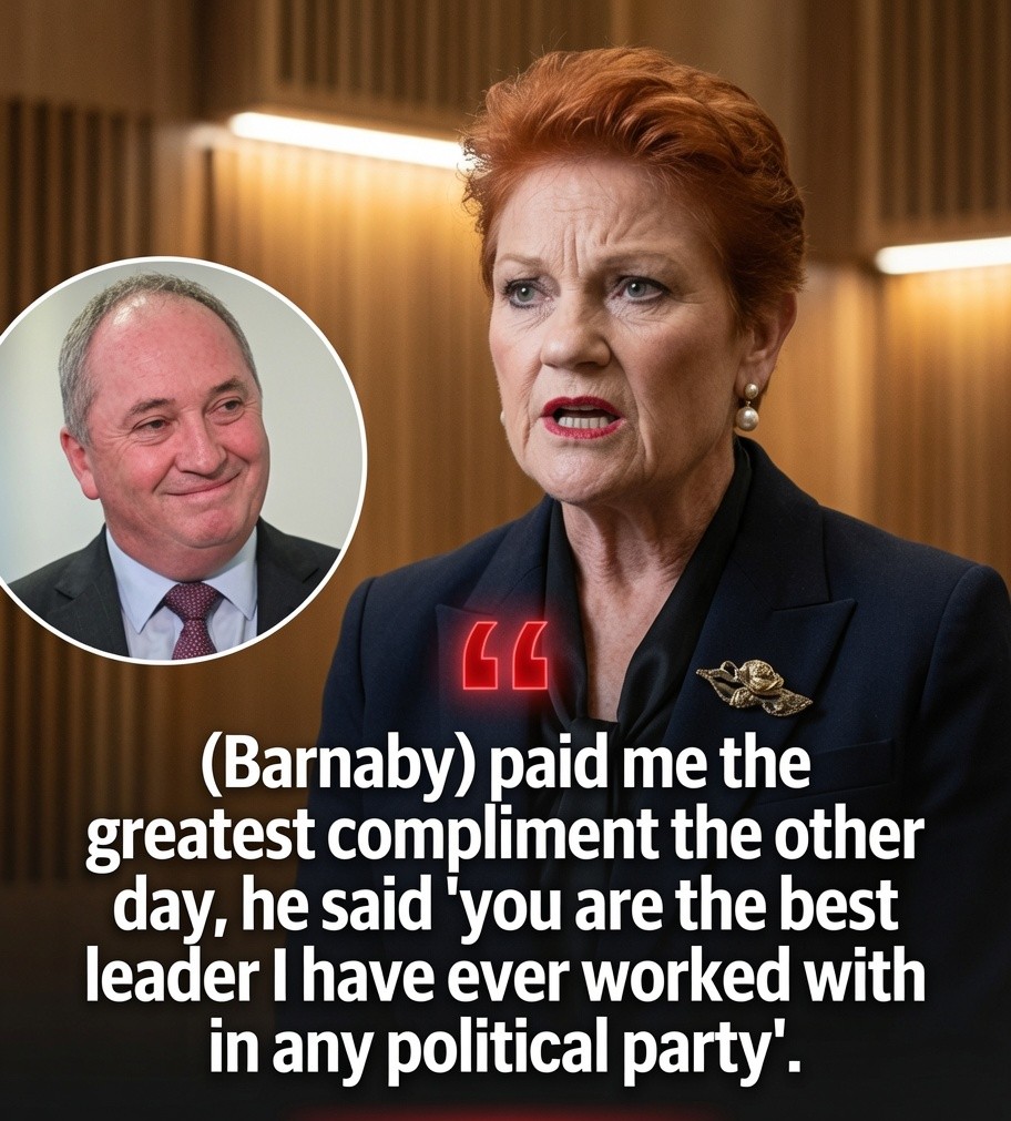Pauline Hanson responds to rumours of a rift with Barnaby Joyce after her European trip