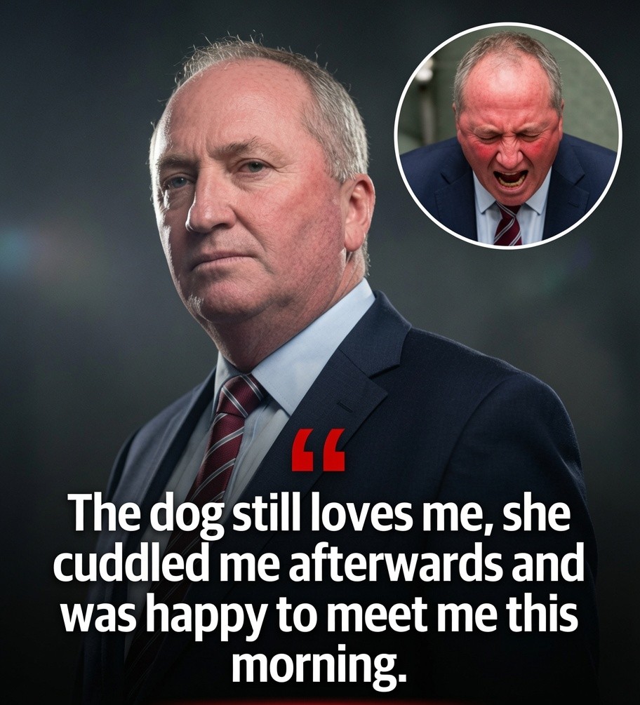 Barnaby Joyce says everything is fine with his farm dog Stella after a viral television interview