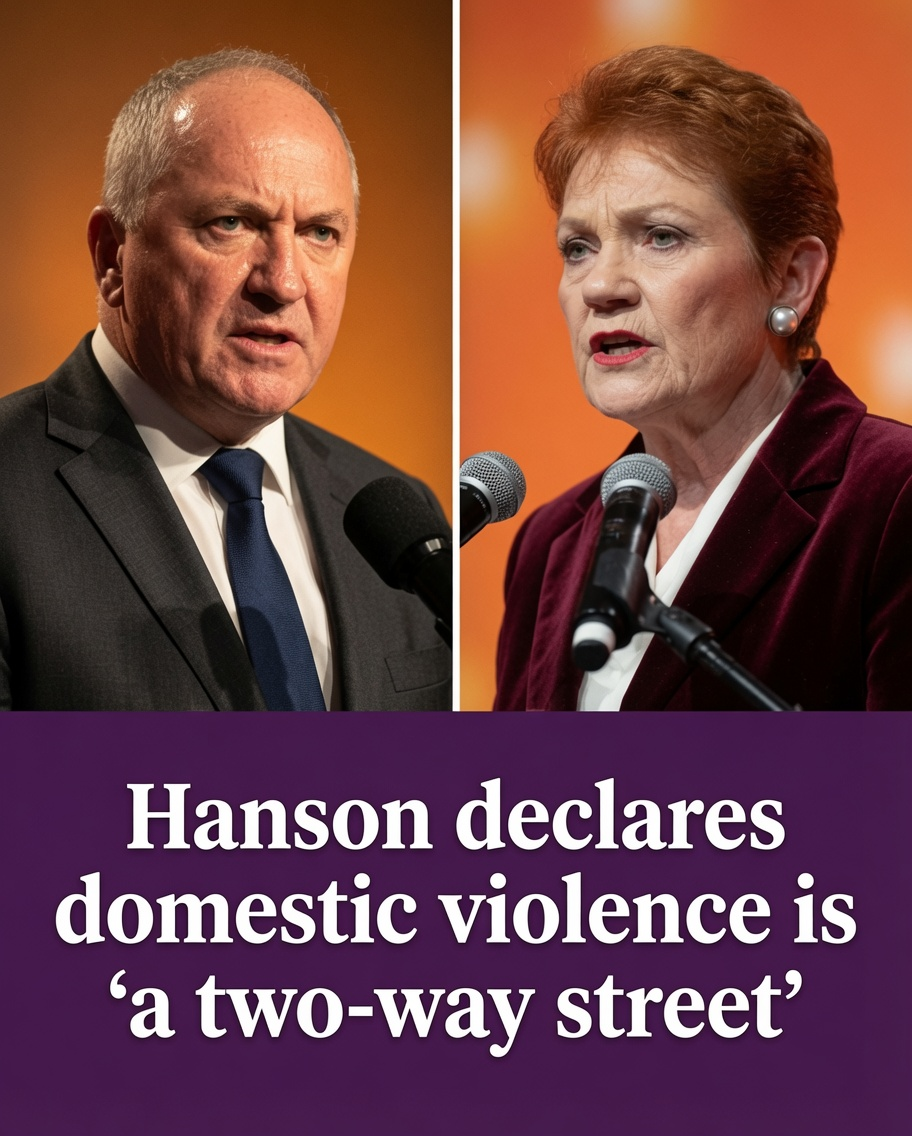 Pauline Hanson and Barnaby Joyce face criticism over domestic violence comments