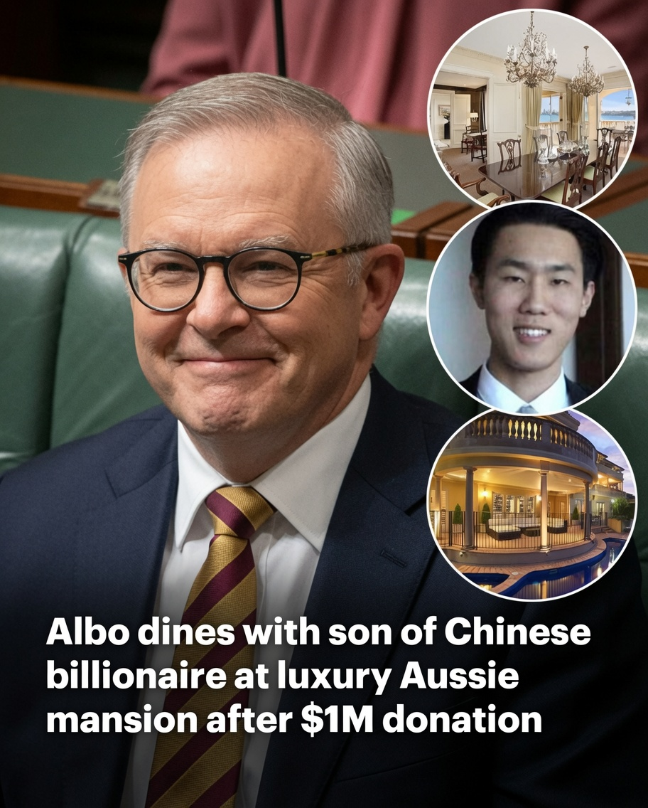 Anthony Albanese and Pauline Hanson at the centre of political debate over donations and relationships with wealthy supporters
