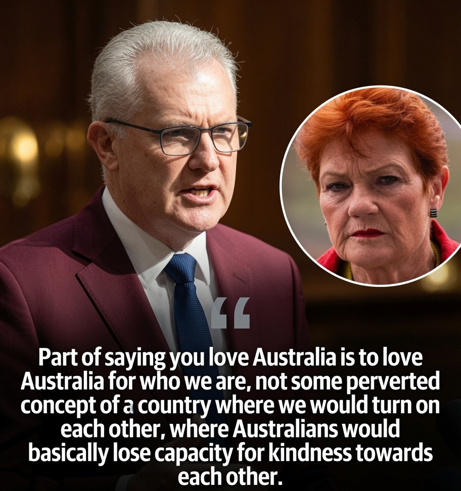 Home Affairs Minister Tony Burke responds to Pauline Hanson's comments about the White Australia policy
