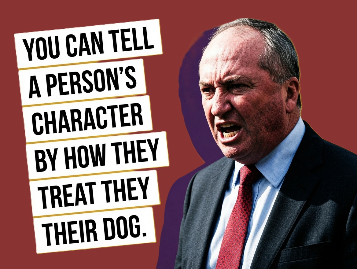 Barnaby Joyce during his ABC 7.30 interview that went viral after an interruption from his dog