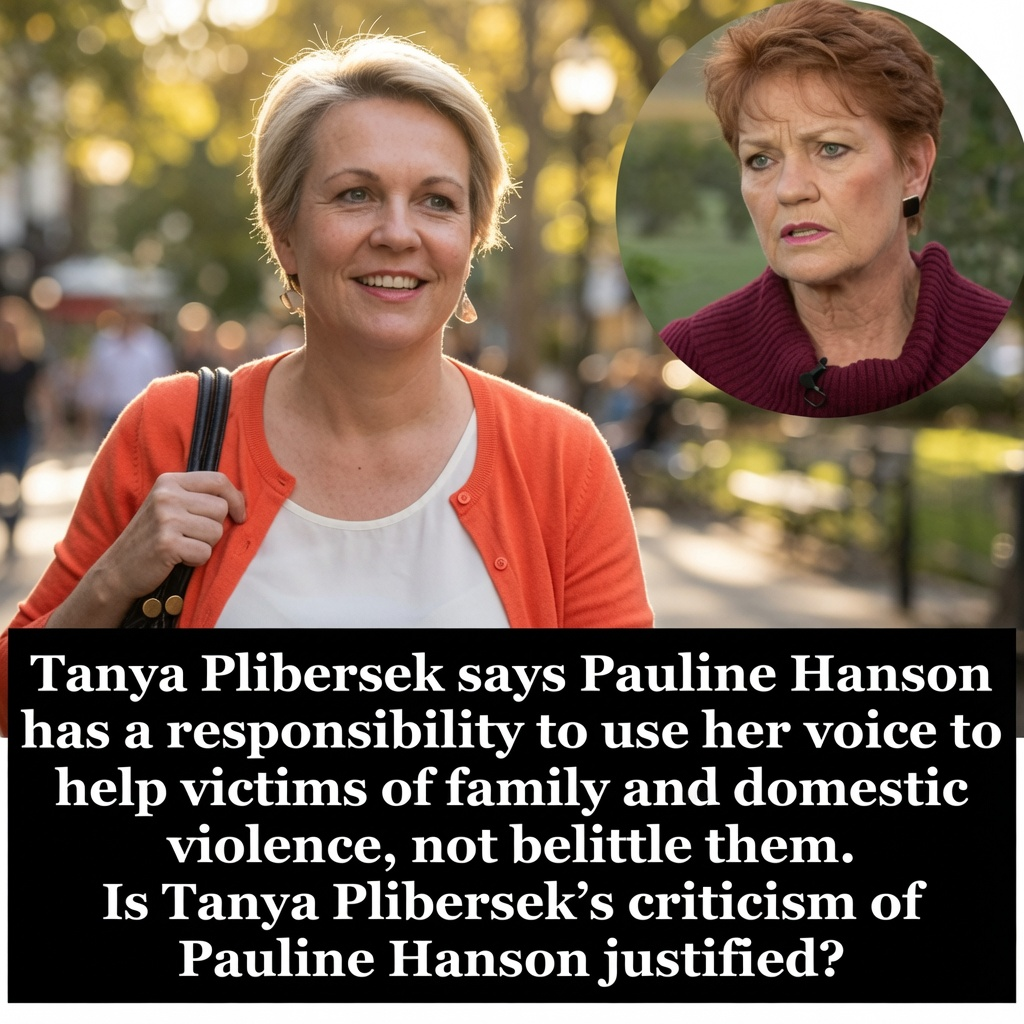 Social Services Minister Tanya Plibersek responds to Pauline Hanson's domestic violence comments