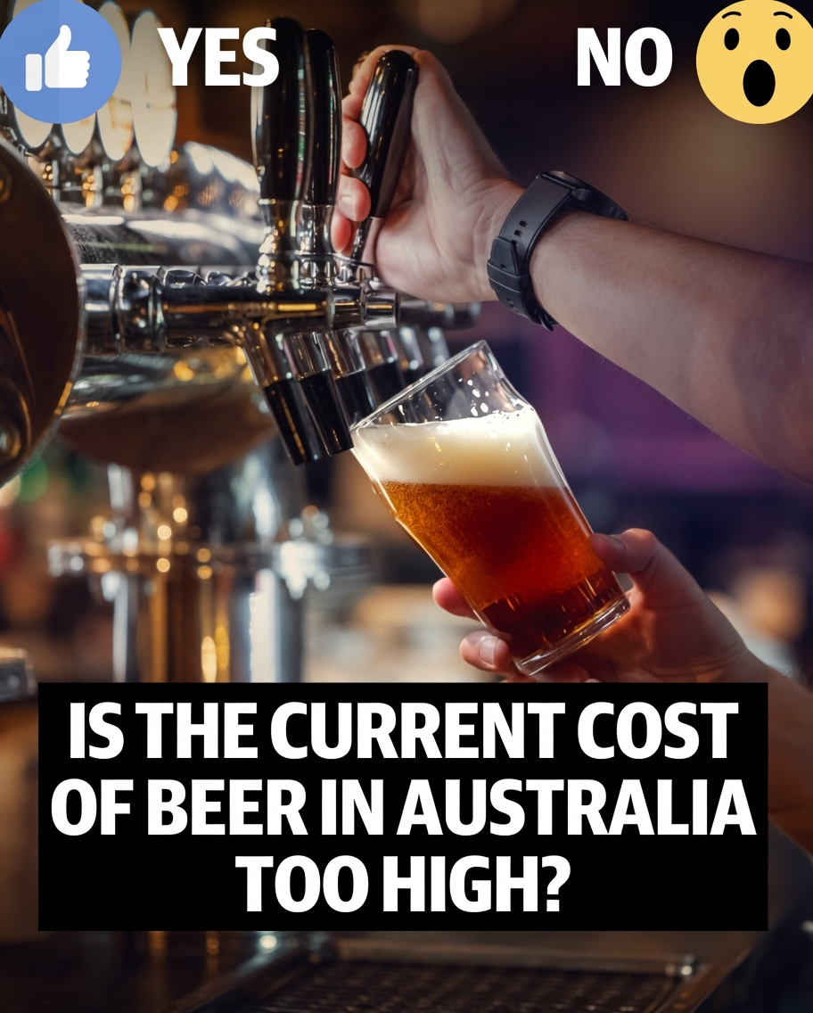 Chart comparing Australian beer prices with other advanced economies over two decades