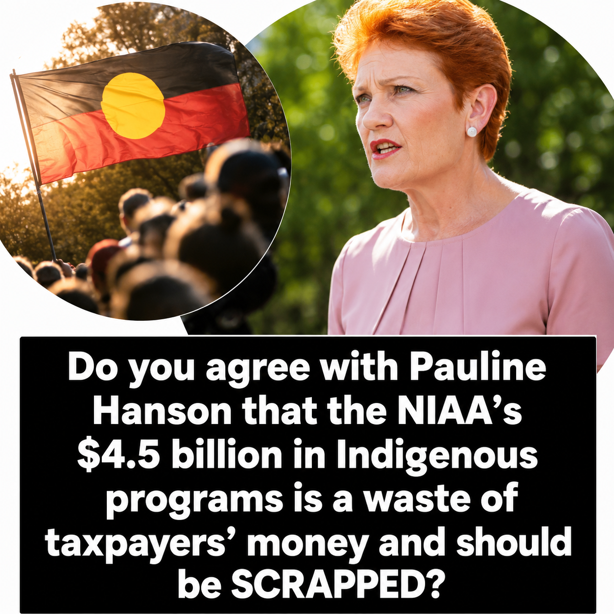 Pauline Hanson outlines One Nation's proposal to abolish the National Indigenous Australians Agency during her National Press Club address.