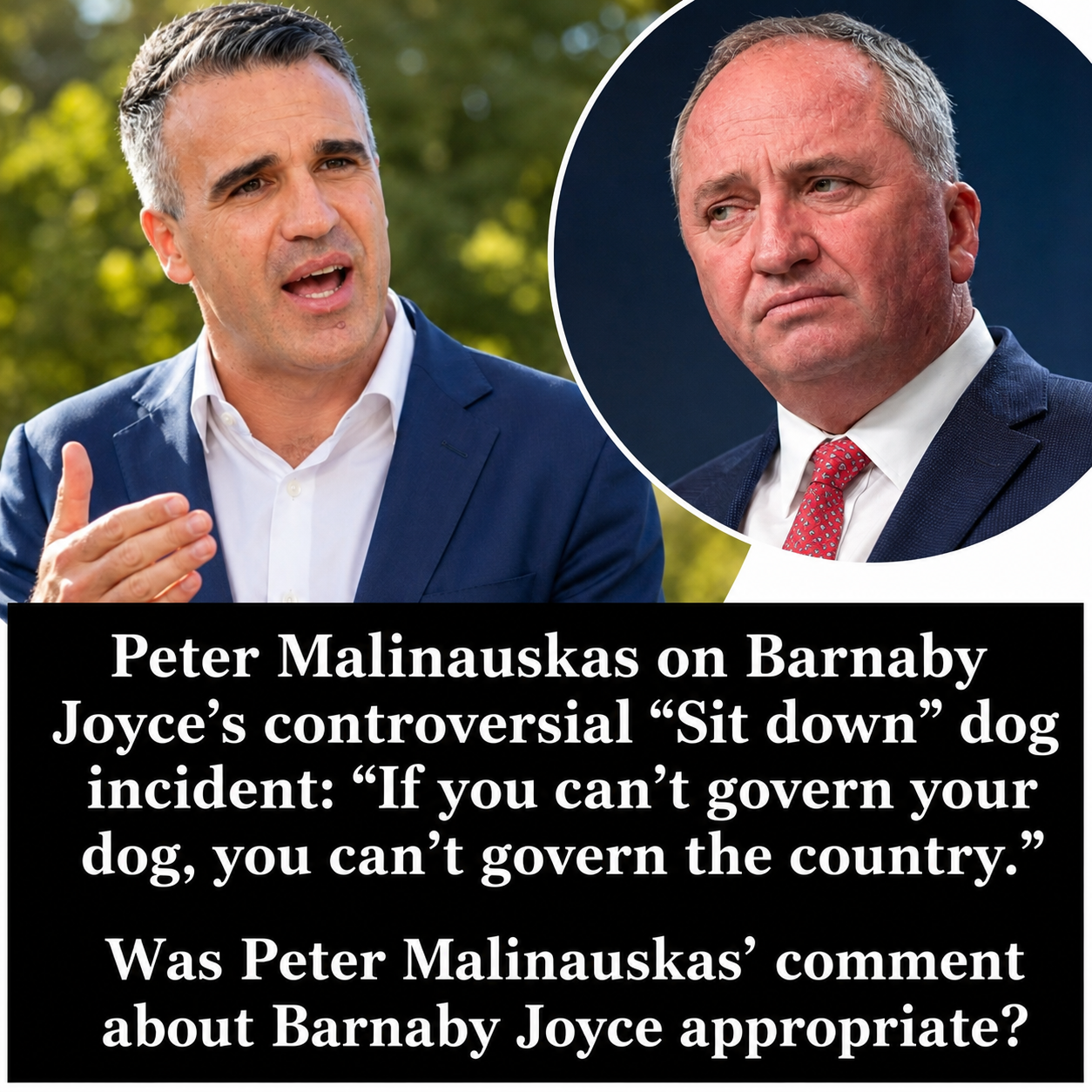 Barnaby Joyce's television interview with his dog Stella became a viral political moment after South Australian Premier Peter Malinauskas joked about the incident.
