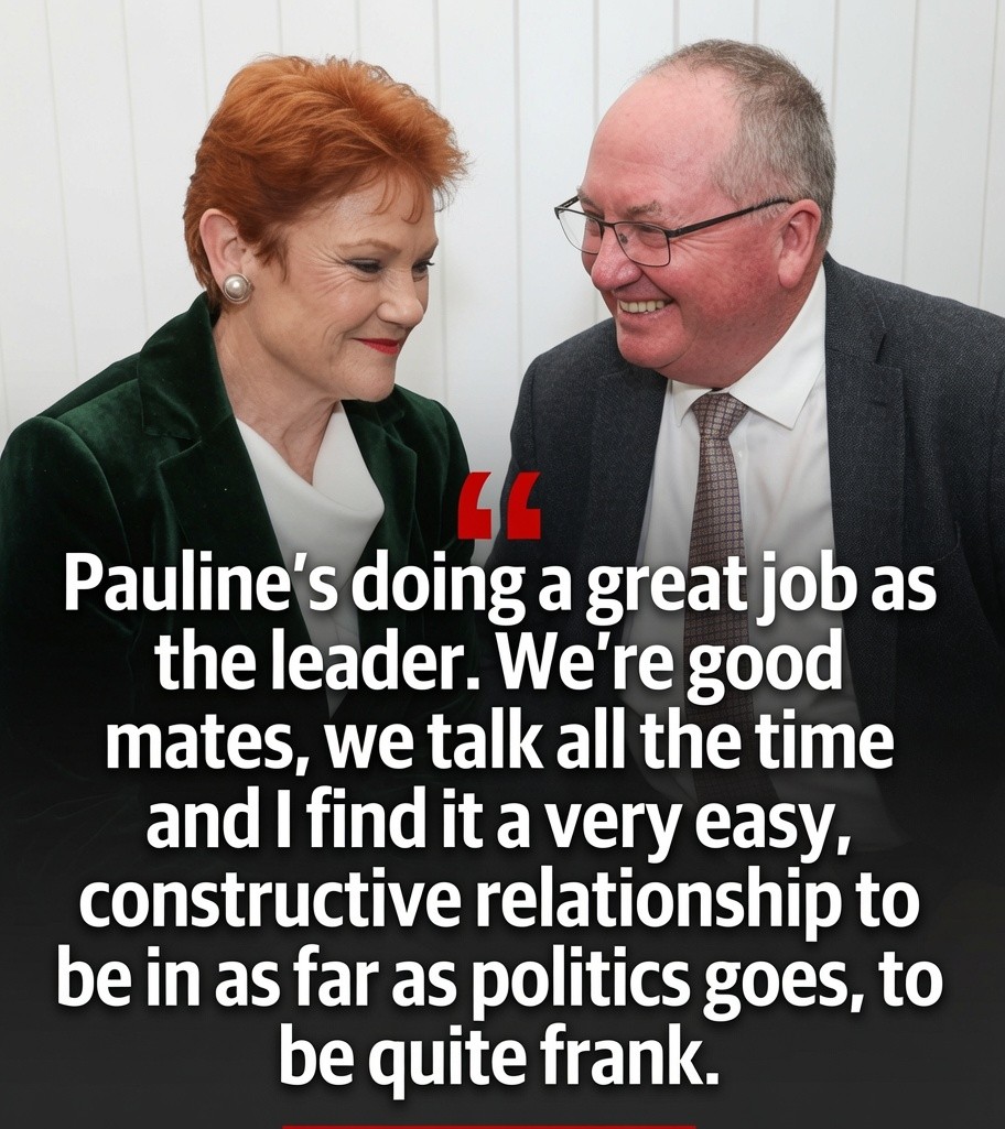 Barnaby Joyce and Pauline Hanson amid speculation about their political relationship