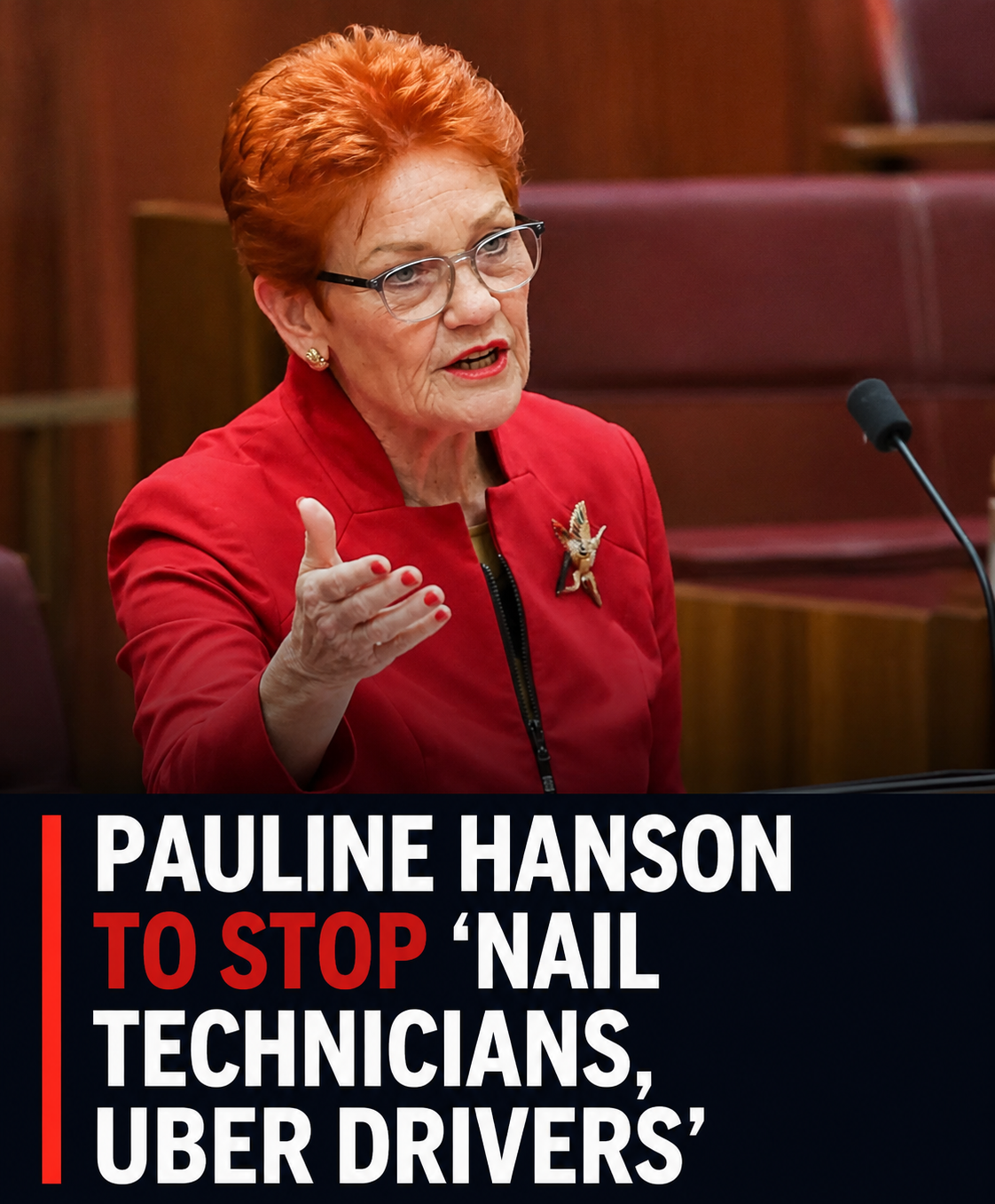 One Nation leader Pauline Hanson outlines her proposal to reduce Australia's migration intake
