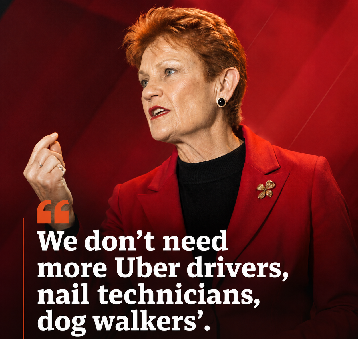 Pauline Hanson speaking about One Nation's proposed immigration reforms