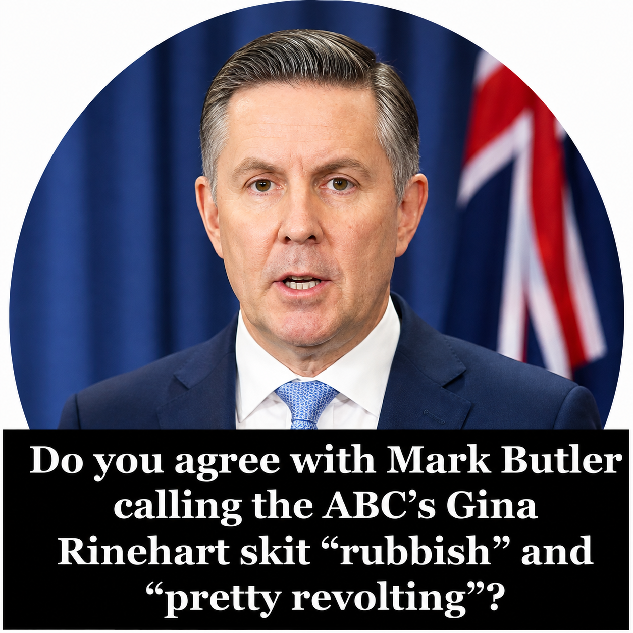 Health Minister Mark Butler comments on ABC Gina Rinehart controversy