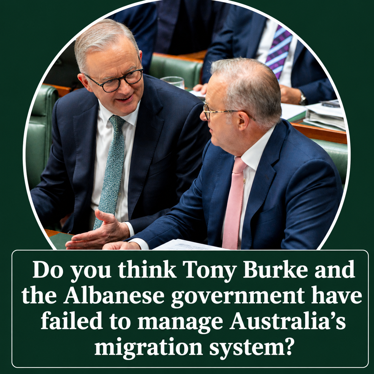 Tony Burke delays major migration policy speech amid growing political pressure over Australia's immigration system