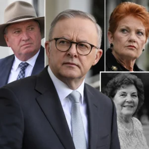 Composite news image of Barnaby Joyce, Anthony Albanese, Pauline Hanson and Albanese's late mother