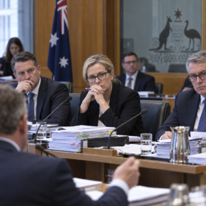 Australian parliamentary inquiry setting for a report on federal community grants funding.