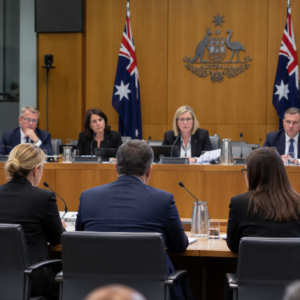 Formal Australian parliamentary committee hearing with witnesses facing the panel.