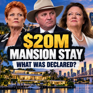 Editorial graphic showing Pauline Hanson, Barnaby Joyce and Gina Rinehart with a Brisbane mansion and the headline $20M Mansion Stay — What Was Declared?