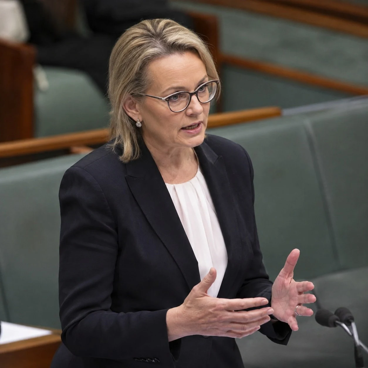 Former Liberal leader Sussan Ley speaking in the House of Representatives