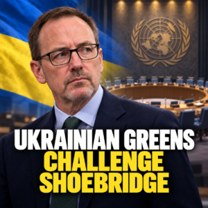 Editorial illustration of David Shoebridge and Ukrainian policy symbols around military aid.