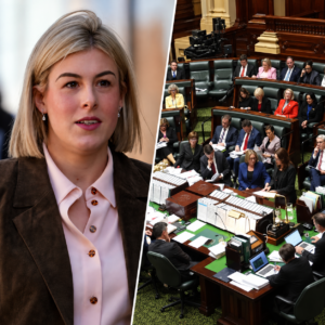 Editorial split image showing Jess Wilson and a parliamentary chamber.