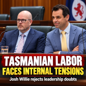 Two Tasmanian Labor politicians in a parliamentary setting, editorial illustration of party tensions.