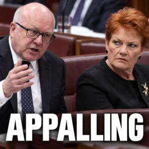 Editorial image of George Brandis and Pauline Hanson illustrating their 2017 Senate dispute over a proposed face-covering ban