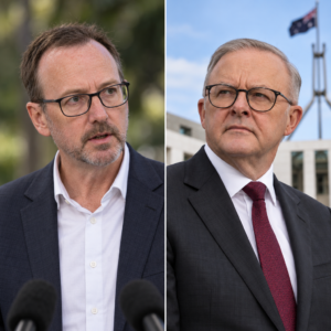 AI-generated editorial illustration: separate portraits of David Shoebridge and Anthony Albanese