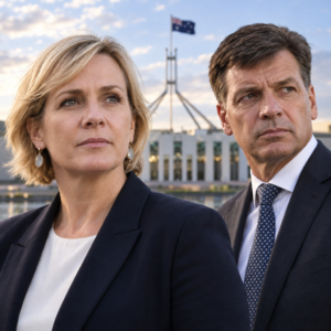 Editorial illustration of Zali Steggall and Angus Taylor