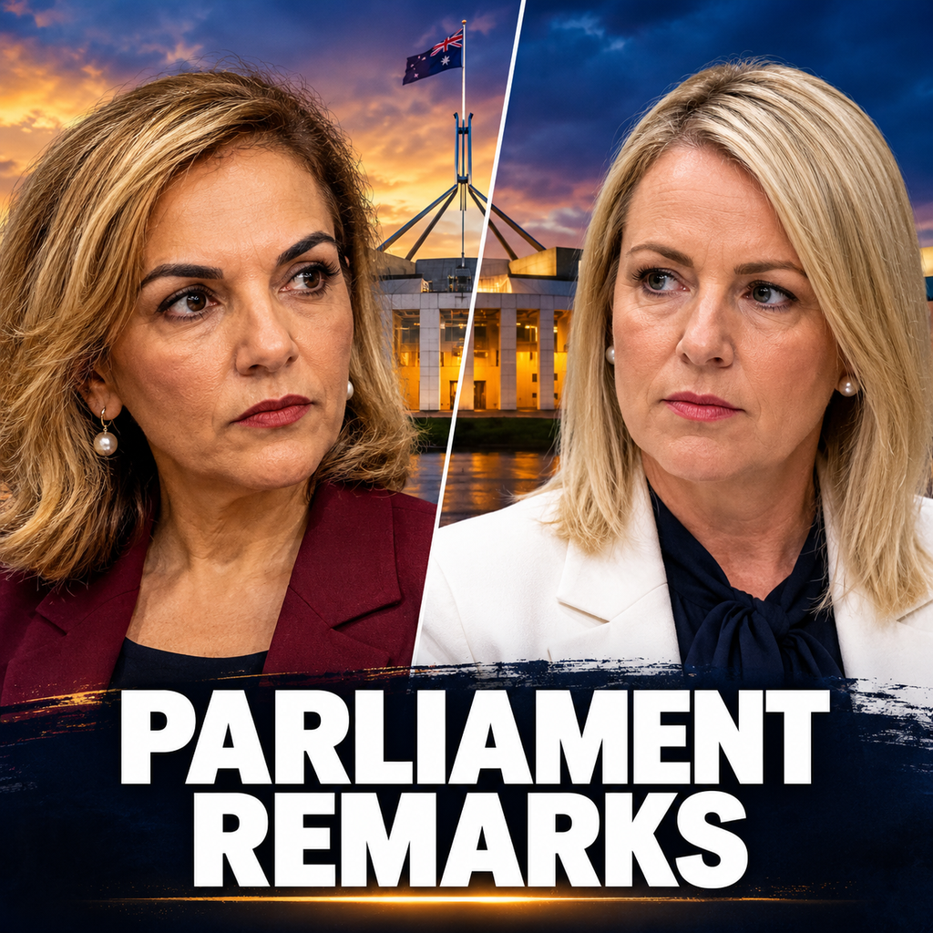 Editorial illustration of Anne Aly and Angie Bell during a dispute over parliamentary remarks