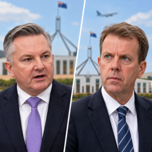 Editorial illustration of Chris Bowen and Dan Tehan in separate portraits during a dispute about taxpayer-funded climate travel.