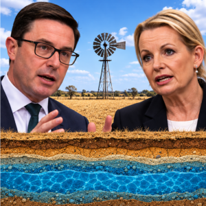 AI-generated conceptual illustration of David Littleproud and Sussan Ley with a stylised groundwater cross-section and Australian farmland