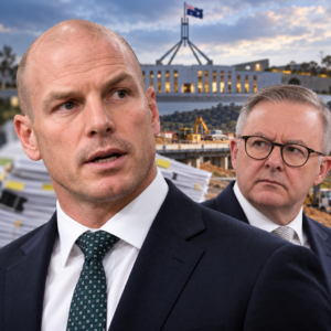 Editorial illustration of David Pocock and Anthony Albanese with parliamentary funding documents